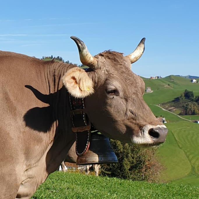 Flueli Urnäsch