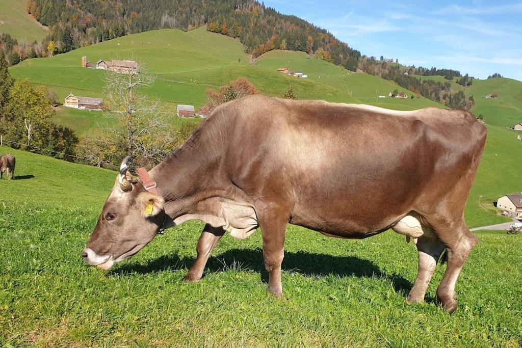 Flueli * Urnäsch
